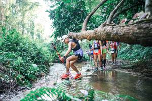 BIB: 
                            <button type="button" onclick="openModal(25464596)" class="btn btn-primary btn-sm float-right btn-popup" data-toggle="modal" data-target=".modal-high-quality">
                        <i class="fas fa-shopping-cart"></i> Add to Cart
                    </button>
                                            <button type="button" onclick="isThisMe(25464596, true)" class="btn btn-success btn-sm float-right btn-popup btn-isme hidden" data-toggle="tooltip" data-placement="bottom" title="นี่คือรูปของคุณใช่ไหม คลิกที่นี่เพื่อเอาเข้าอัลบั้ม">
                        <i class="fas fa-plus"></i> Add to album
                    </button>
                    <button type="button" onclick="isThisMe(25464596, false)" class="btn btn-warning btn-sm float-right btn-popup btn-isnotme hidden">
                        <i class="fas fa-ban"></i> Remove from album
                    </button>